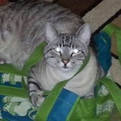 Marie-Therese Becker Billingsley's photo