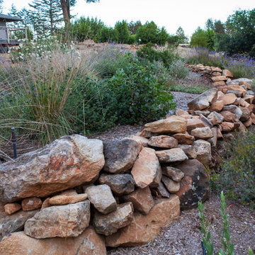 Resilient Landscapes with California native plants