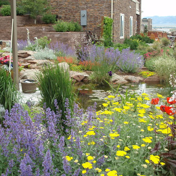 Beautiful Garden and Pond in Wesminster