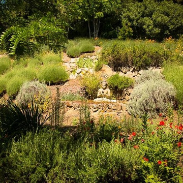 Edible garden