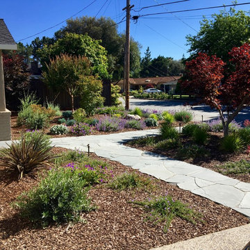 Los Altos No Lawn, Low Water