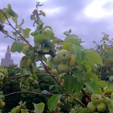 Boerum Hill - Rooftop Garden