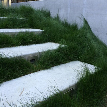 san francisco modern