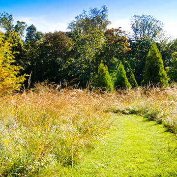 Meadows