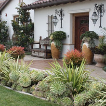 Succulent Gardens
