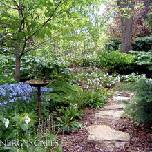 denise_jaffe's ideas