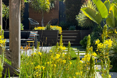 Inspiration for a small contemporary backyard concrete paver patio remodel in San Francisco