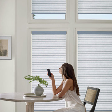 Roller & Solar Shades