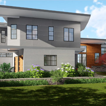 3D renderings