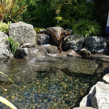 Ecosystem Ponds