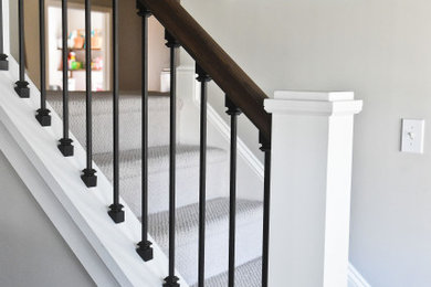 Inspiration for a large transitional carpeted straight metal railing staircase remodel in Charlotte with carpeted risers