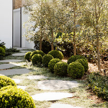 landscape ideas