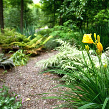 planting