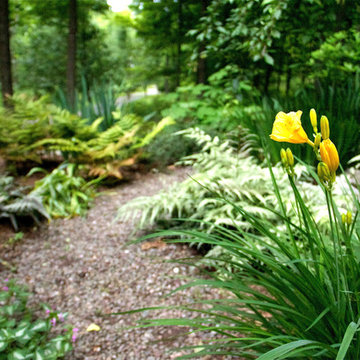 Shade Gardens
