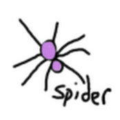 silky spider's photo