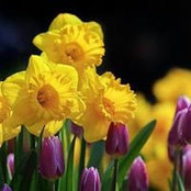 Vicki Moser's photo