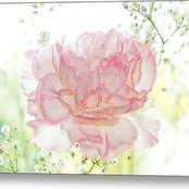 Lyn's photo