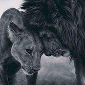 Jevonne Nichols's photo