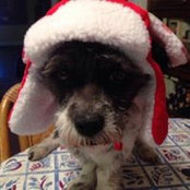 Deborah DeSimone's photo