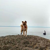 Foto von Shawna Potter