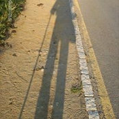 Giuseppantonio De Vincentiis's photo