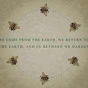 Kath Whelan's photo