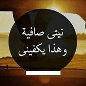 Alaa Elhadad's photo