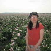 Photo de Tiffany Li