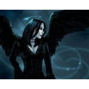 Marjie Starek's photo