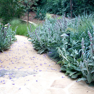 Mystical Habitat Garden