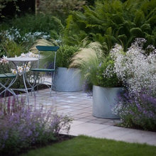 Landscape Ideas