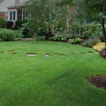 Our Work