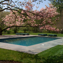 swimming pool back yard