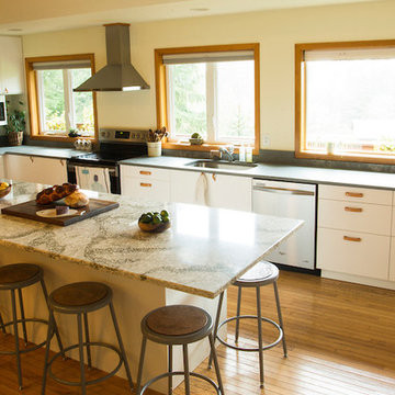 IKEA Kitchen Remodel to Frame Mountain View