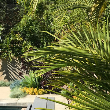 Modern & Drought Tolerant Landscape in Banker's Hill