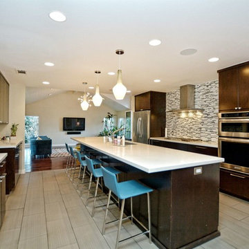 Mid Century Modern Addition Renovation