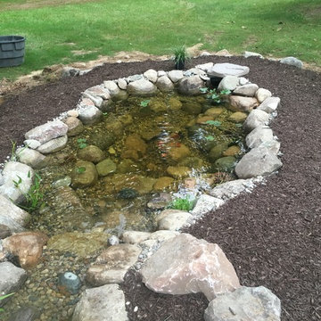 Koi Pond Kalamazoo, MI