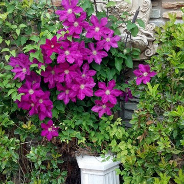 Seasonal Color