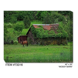 Mossy Barn Outdoor Canvas Art - Home Decor