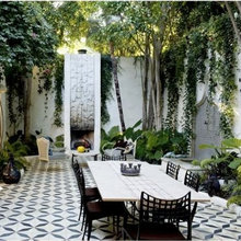 Back Yard - Portico, Pool, Landscaping