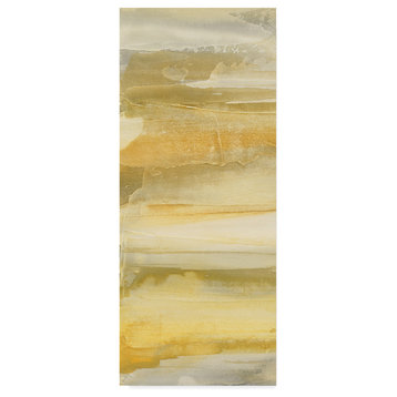 Chris Paschke 'Grey And Gold Ii' Canvas Art, 19"x8"