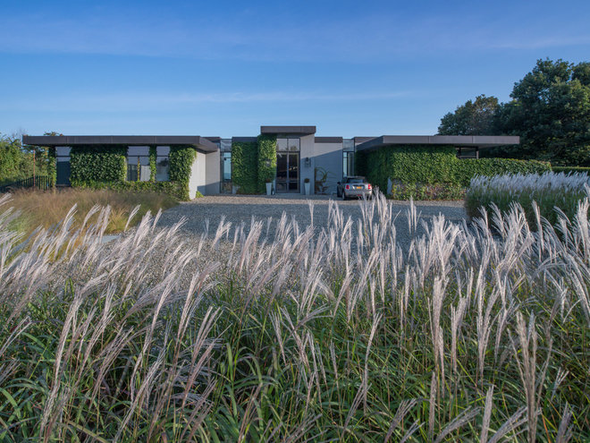 Midcentury  by Wagner Hodgson