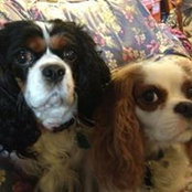Joan Debolt's photo