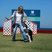 Alfa Vold's photo
