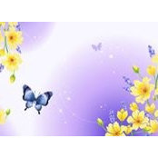 Angie Wendt's photo