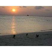 Patrizia Angiolini's photo