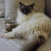Vicki Jones's photo