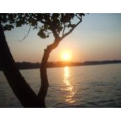 Patty Rose's photo