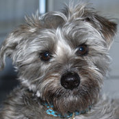 Brian Hartlaub's photo