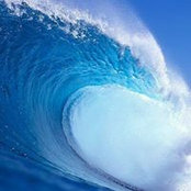 Beth Borden's photo